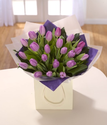 Purple Tulips